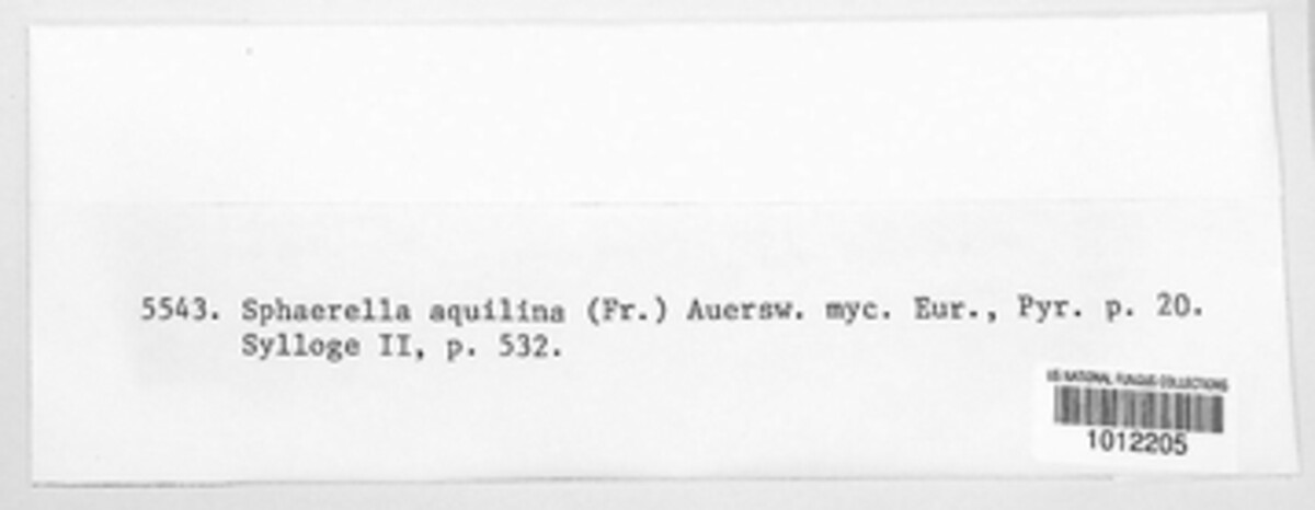 Mycosphaerella aquilina image